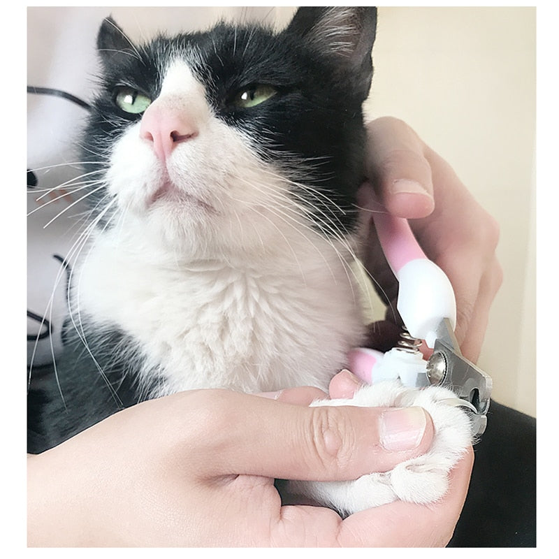 Cortador de Unhas Profissional para Pets (Cães, Gatos, Coelhos, Pássaros e Demais Pets com Unhas Longas).